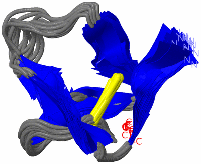 Image NMR Structure - all models