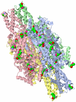 Image Asym./Biol. Unit