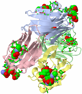 Image Asym./Biol. Unit - sites