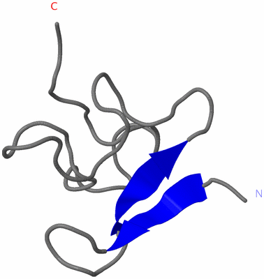 Image NMR Structure - model 1