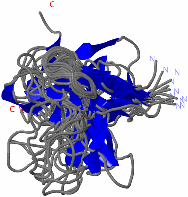 Image NMR Structure - all models