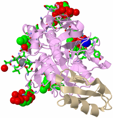 Image Asym./Biol. Unit - sites