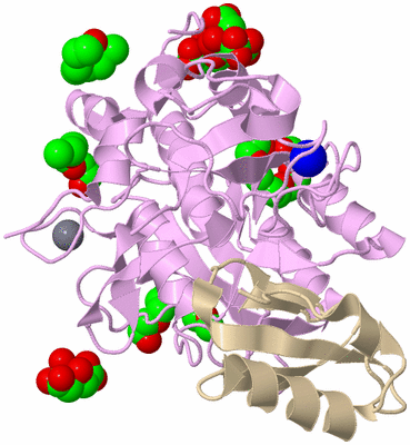 Image Biological Unit 1