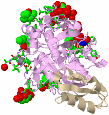 Image Biol. Unit 1 - sites