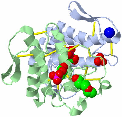 Image Asym./Biol. Unit