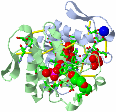 Image Asym./Biol. Unit - sites