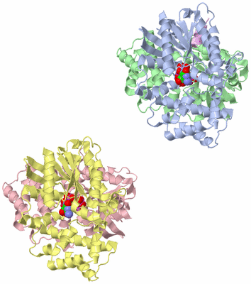 Image Biological Unit 1