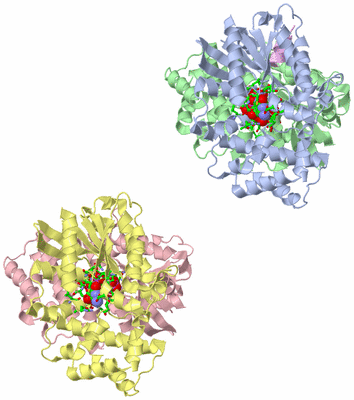 Image Biol. Unit 1 - sites