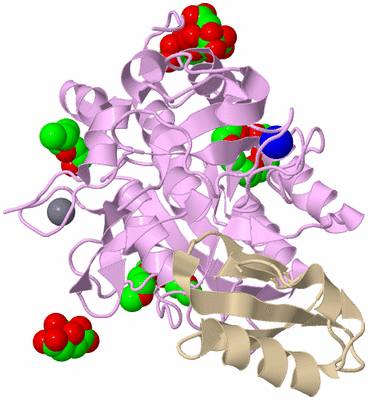 Image Biological Unit 1