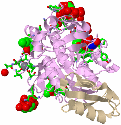 Image Biol. Unit 1 - sites