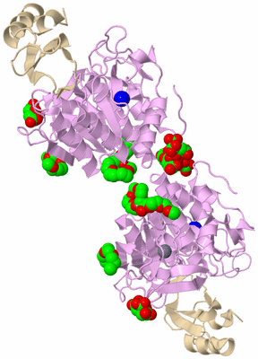 Image Biological Unit 2