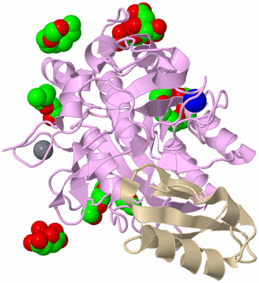 Image Biological Unit 1