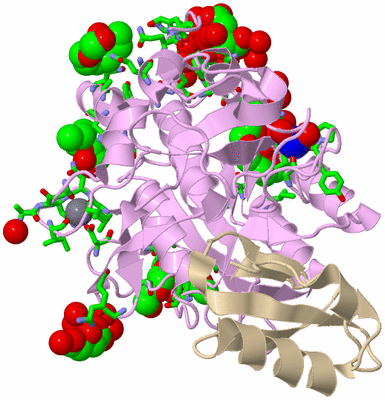 Image Biol. Unit 1 - sites