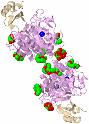 Image Biological Unit 2