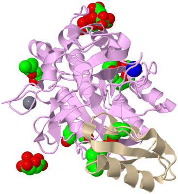 Image Biological Unit 1