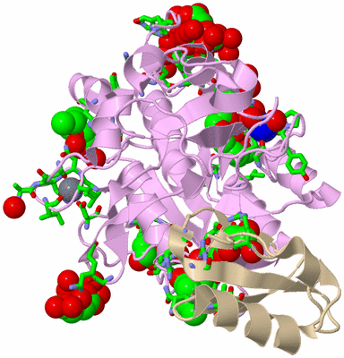 Image Biol. Unit 1 - sites