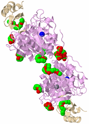 Image Biological Unit 2