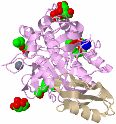 Image Biological Unit 1