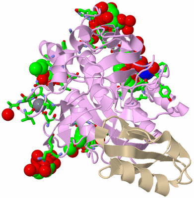 Image Biol. Unit 1 - sites