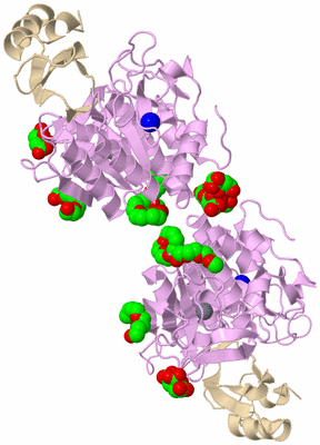 Image Biological Unit 2