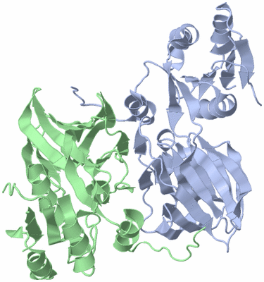 Image Asymmetric Unit