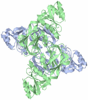 Image Biological Unit 1
