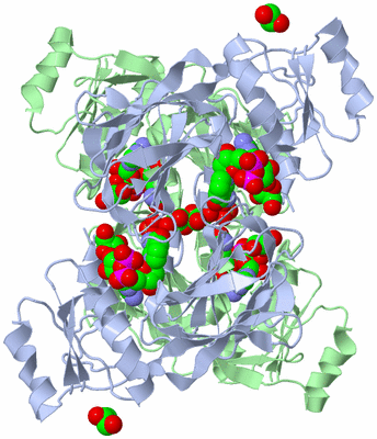 Image Biological Unit 1