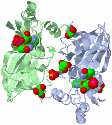 Image Biological Unit 2