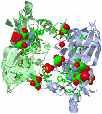 Image Asym. Unit - sites