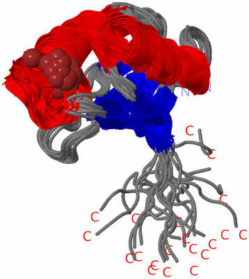 Image NMR Structure - all models