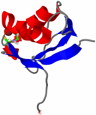 Image NMR Structure - model 1, sites