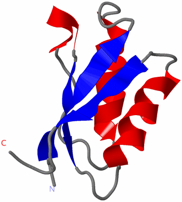 Image NMR Structure - model 1