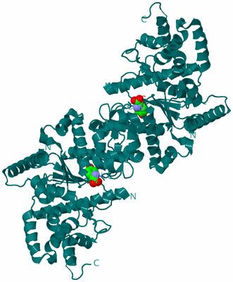 Image Biological Unit 1