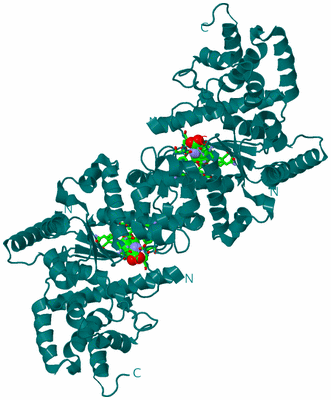 Image Biol. Unit 1 - sites