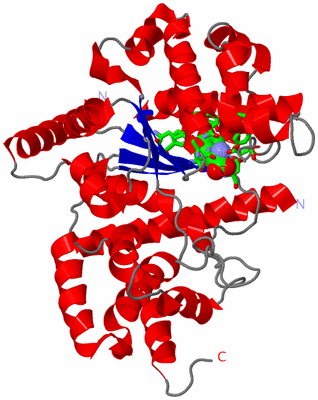 Image Asym. Unit - sites