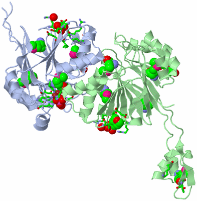 Image Asym./Biol. Unit - sites