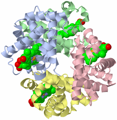 Image Asym./Biol. Unit