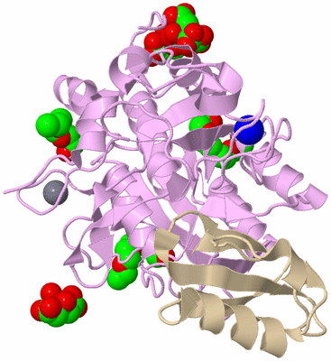 Image Biological Unit 1