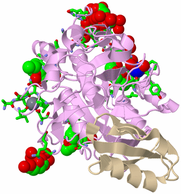 Image Biol. Unit 1 - sites