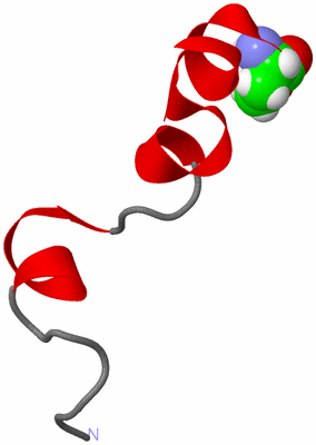 Image NMR Structure - model 1