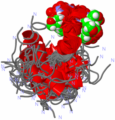 Image NMR Structure - all models