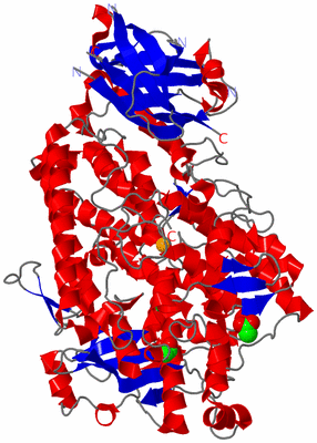 Image Asym./Biol. Unit
