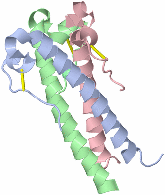 Image Biological Unit 1