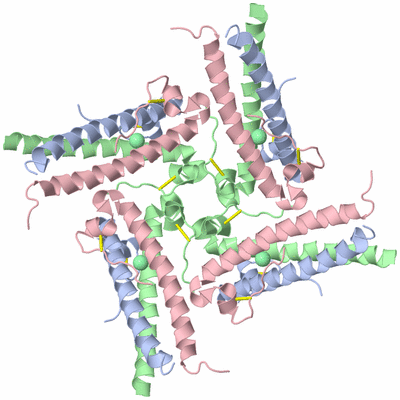 Image Biological Unit 2