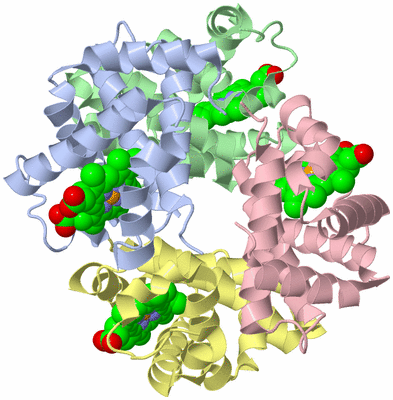 Image Asym./Biol. Unit