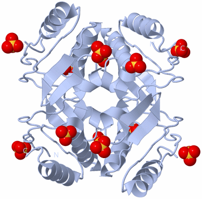 Image Biological Unit 2