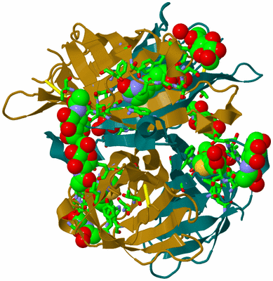 Image Biol. Unit 1 - sites