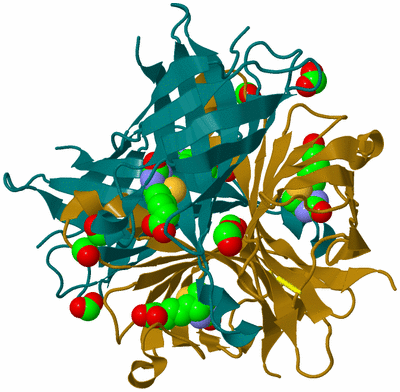 Image Biological Unit 1