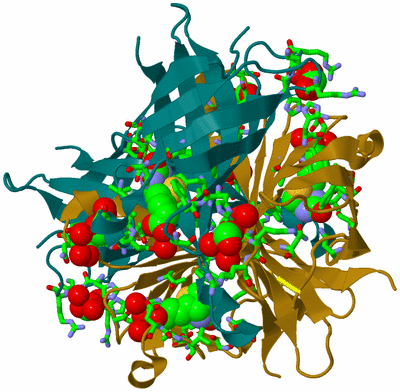 Image Biol. Unit 1 - sites