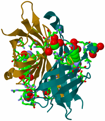 Image Asym. Unit - sites